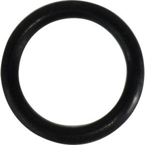Boss O-Ring, 3/4 in ID, FKM