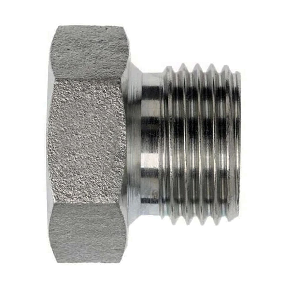 BSPP Hex Head Plug with 60deg Seat, 2-in Male BSPP, Steel