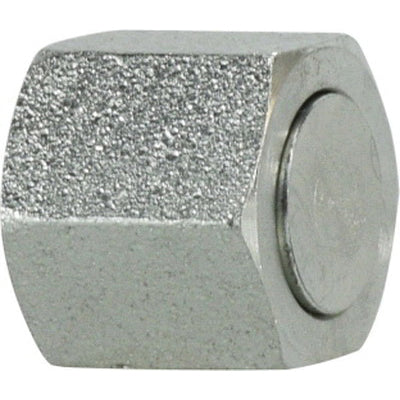 Cap, 1-1/4 in, Steel
