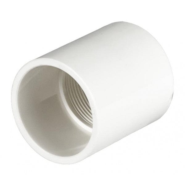 PVC Female Adapter - Schedule 40 - White - Socket x FPT - 1-1/2" (96/Cs)