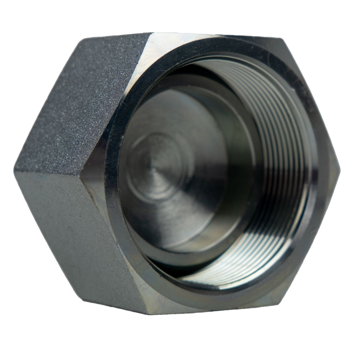 BSPP Swivel Cap, 3/4-in Female BSPP Swivel, Steel