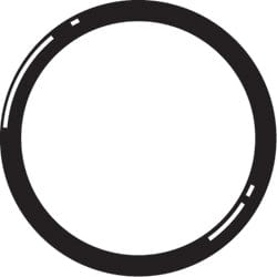 3/4" Viton Union O-Ring (Current Style)