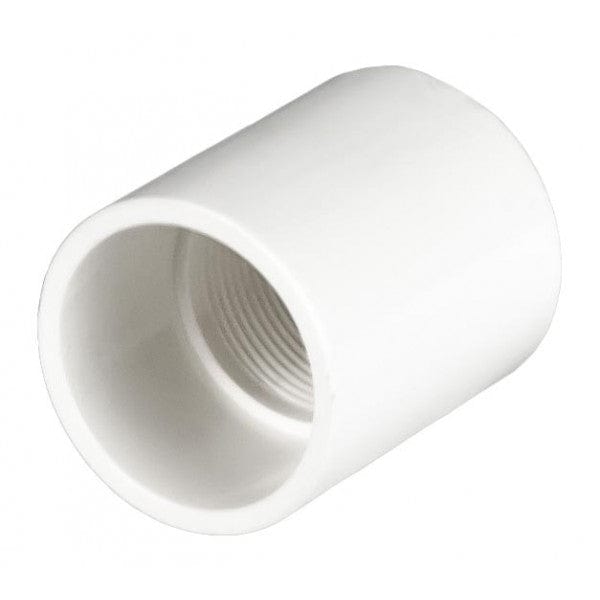 PVC Female Adapter - Schedule 40 - White - Socket x FPT - 1-1/4" (126/Cs)